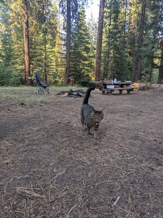 Wiley Flat Campground 3