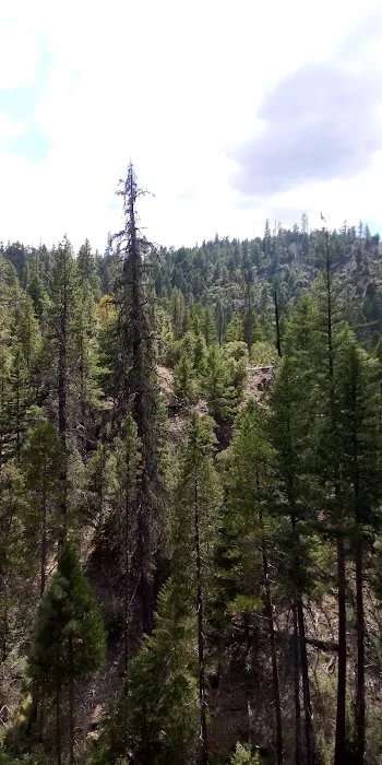 Salt Creek Campground 4