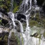 Salt Creek Campground