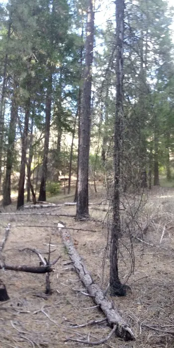 Salt Creek Campground 3
