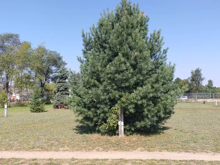 Boyne Country RV Park and Campground 1