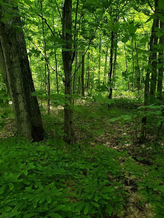 Camp 437, Private Camp 4