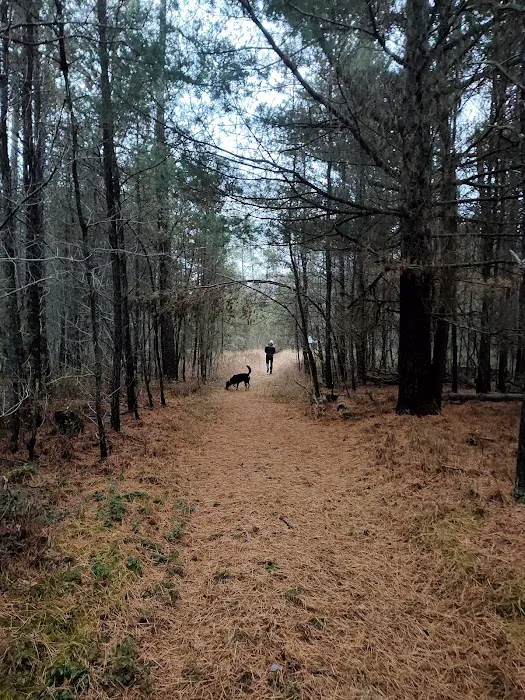 Elkwood Campground 6