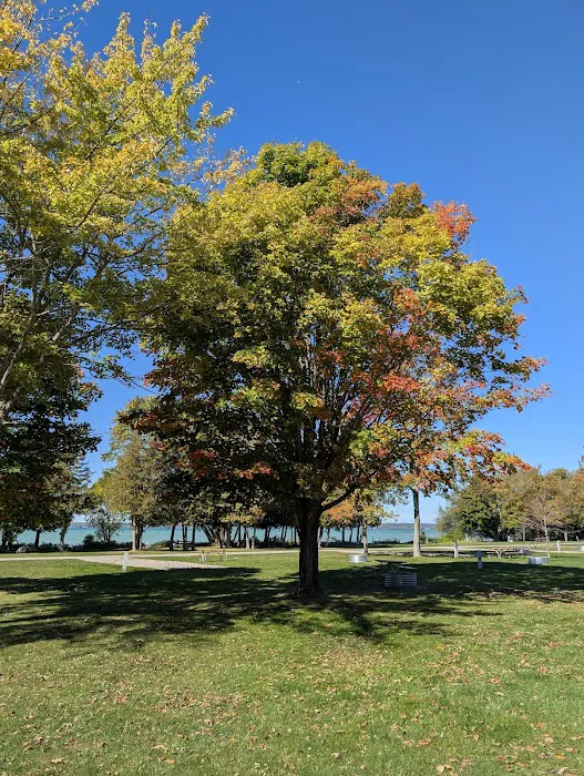 Aloha State Park Campground 7