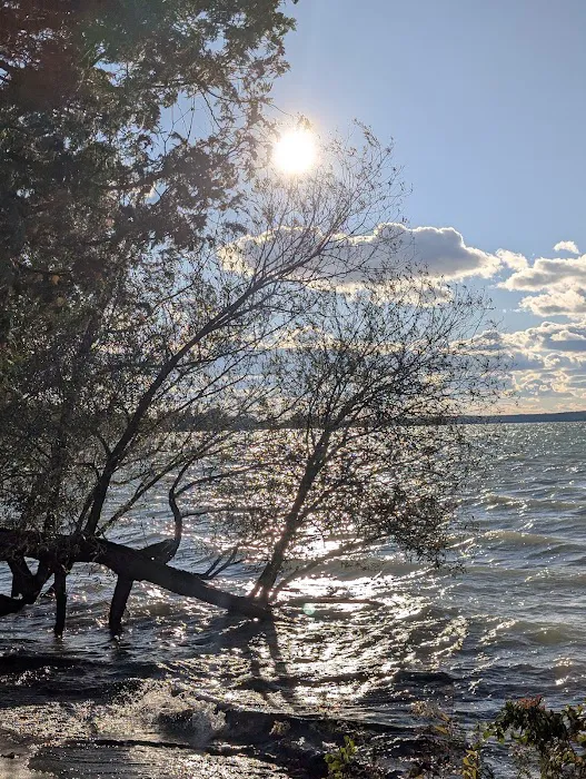 Aloha State Park Campground 9