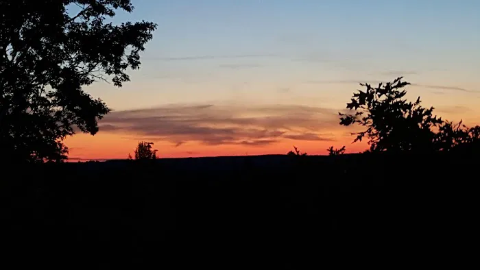 Pickerel Lake State Forest Campground 5