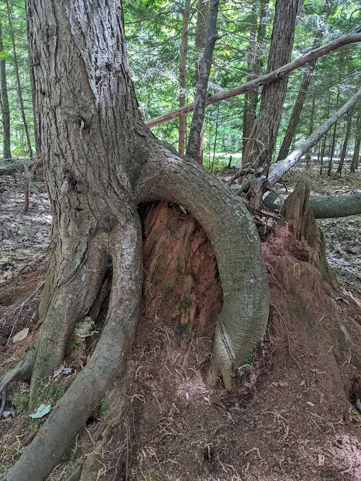 Otsego Lake County Park 5