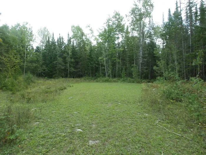 Camp Darling 4