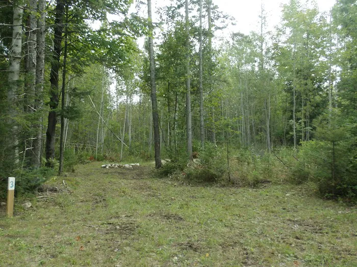 Camp Darling 5
