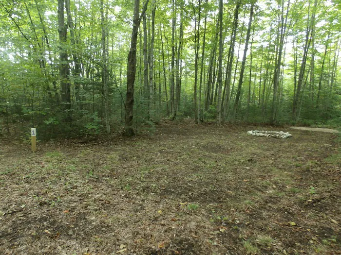 Camp Darling 3