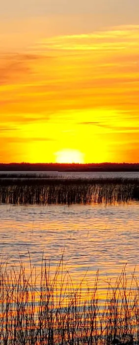 Cheboygan State Park Campground 5