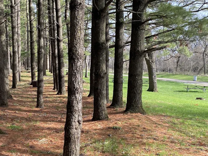 Fontana Park Creekside Campground 3