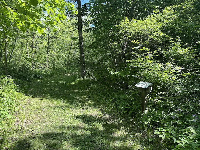 Fontana Park Creekside Campground 7