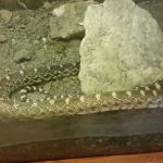 Buchanan County Conservation