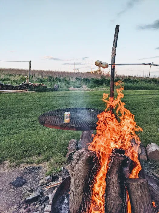 Busch Light Paradise 3