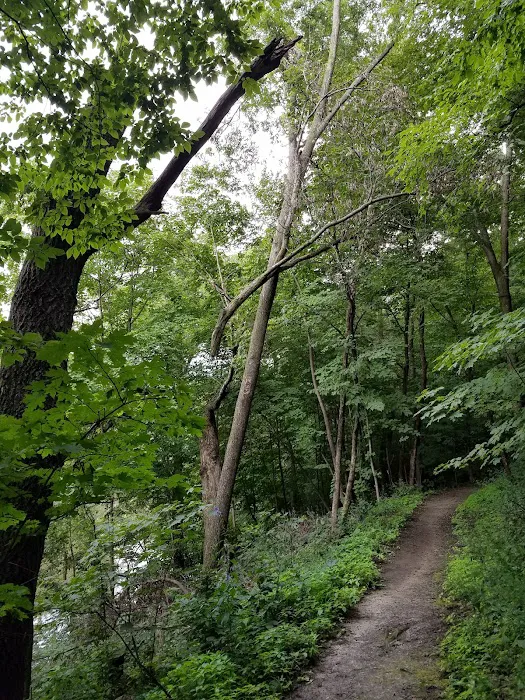 Cedar Bend Campground 8