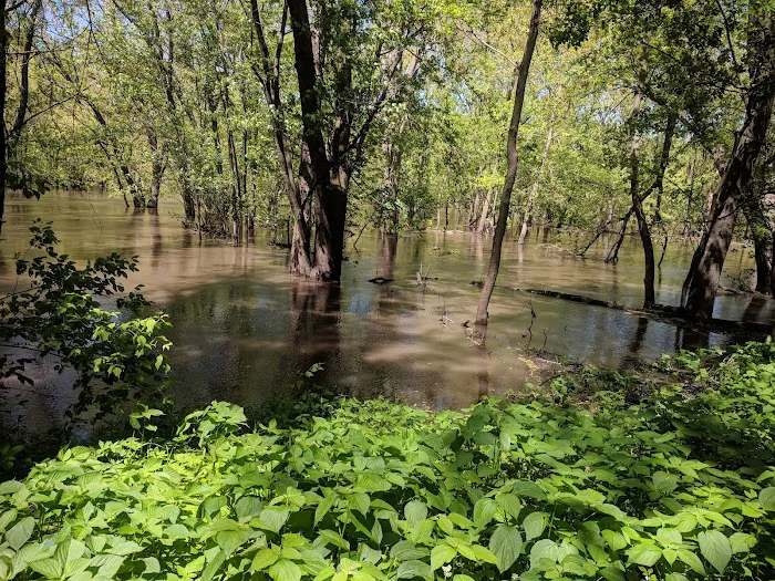 Cedar Bend Campground 4