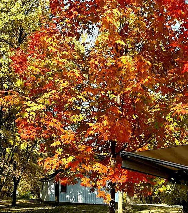 Little Turkey River Campground LLC 5