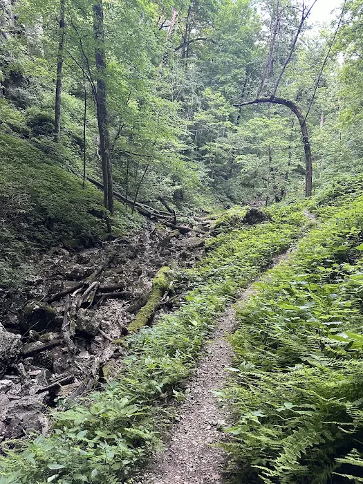 Riverside Park Campground 5