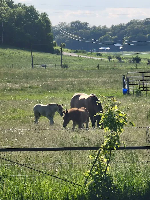 Hutchinson Family Farms 7