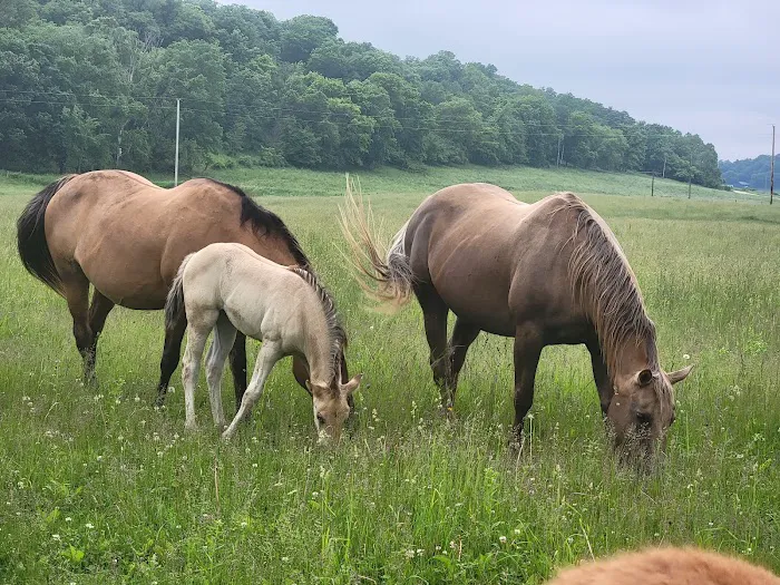 Hutchinson Family Farms 2