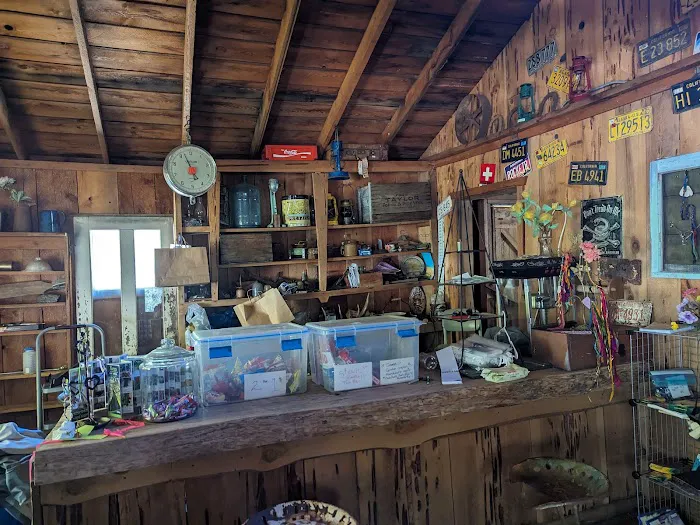Deerlick Springs National Forest Campground 4