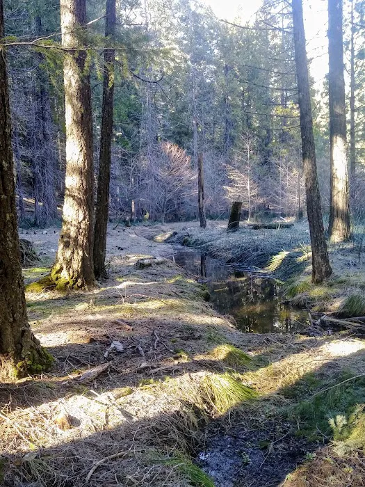 Deerlick Springs National Forest Campground 5