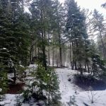 Deerlick Springs National Forest Campground