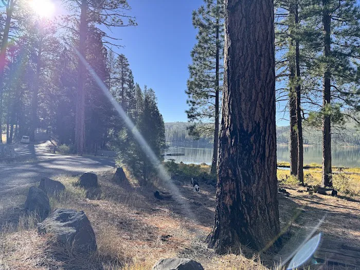 Blue Lake Campground 5