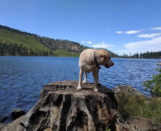 Blue Lake Campground