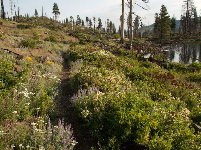 Blue Lake Campground 7