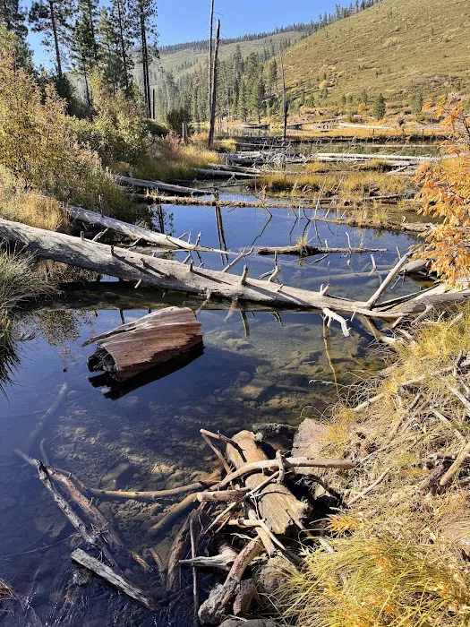 Blue Lake Campground 4