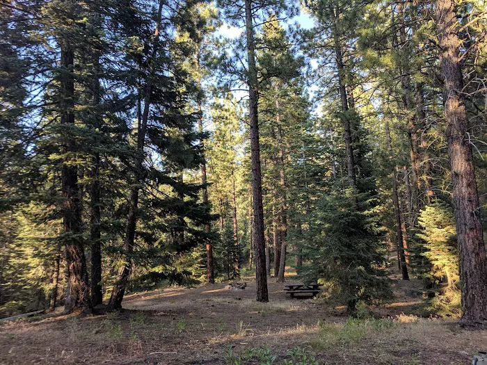 Mill Creek Falls Campground 2