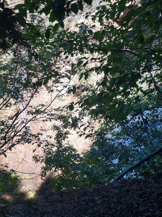 Mill Creek Falls Campground 9