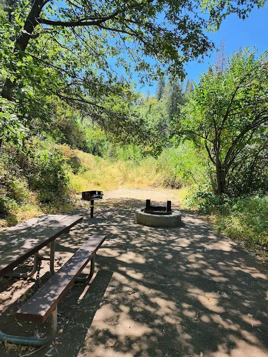 McCloud Bridge Day Use Area 7