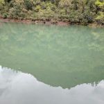 McCloud Bridge Day Use Area