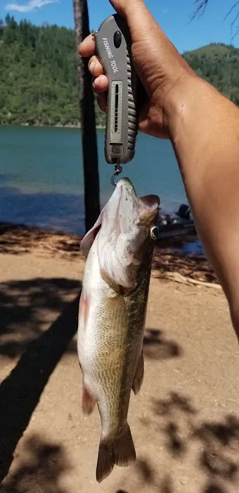 Arbuckle Flat Campground 3