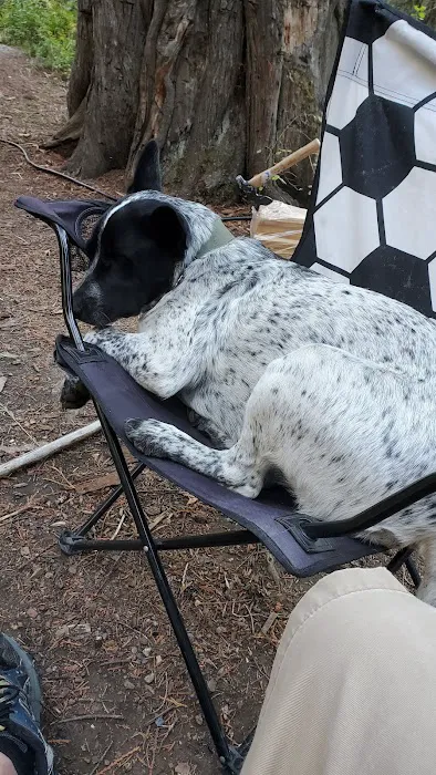 Beaver Creek Campground 2