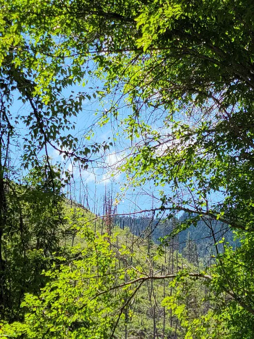Big Pine Campground 9