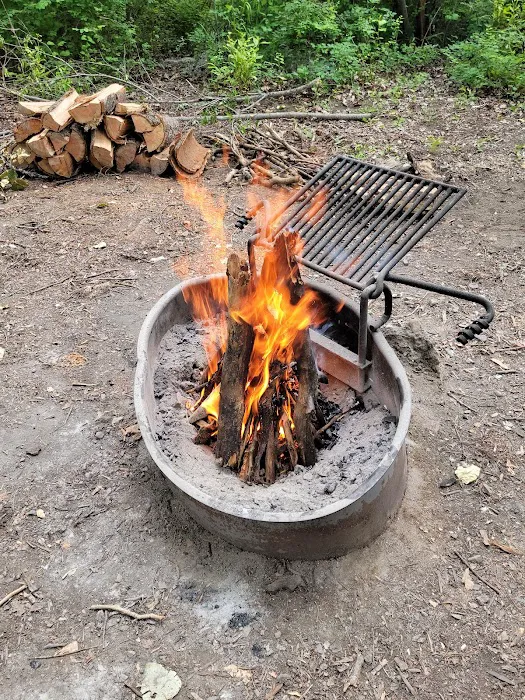 Big Pine Campground 8