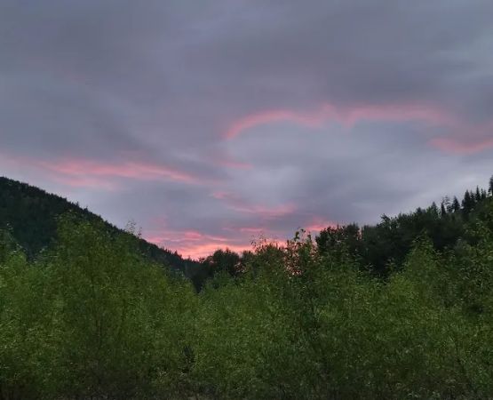 Big Pine Campground