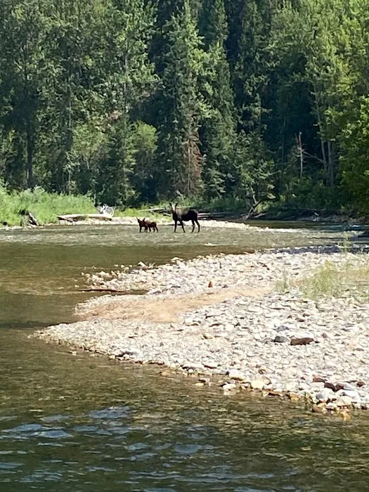 Clearwater Crossing Campground 7
