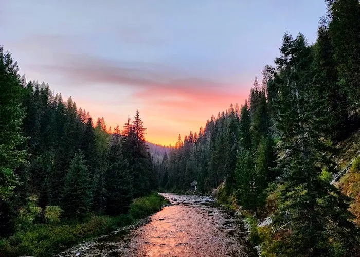 Cedars Campground 0