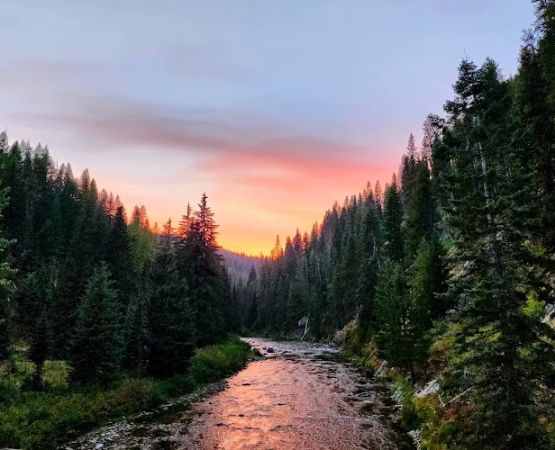 Cedars Campground