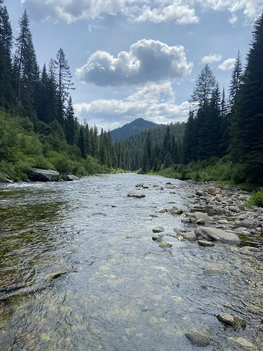 Cedars Campground 1
