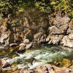 Tin Can Flat Campground