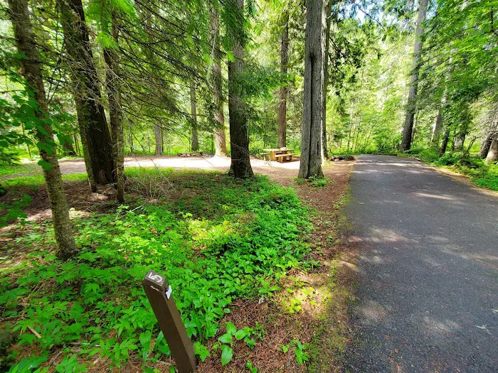Tin Can Flat Campground 9