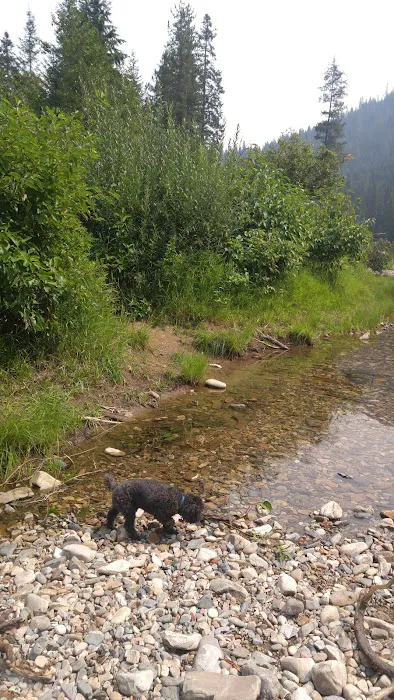 Turner Flat Campground 2