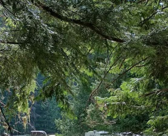 Packsaddle Campground