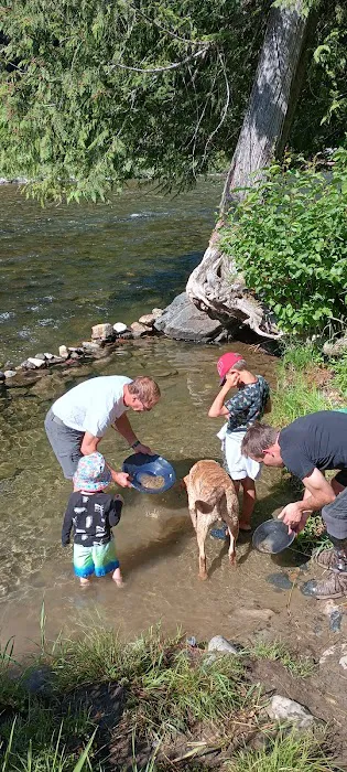 Packsaddle Campground 5